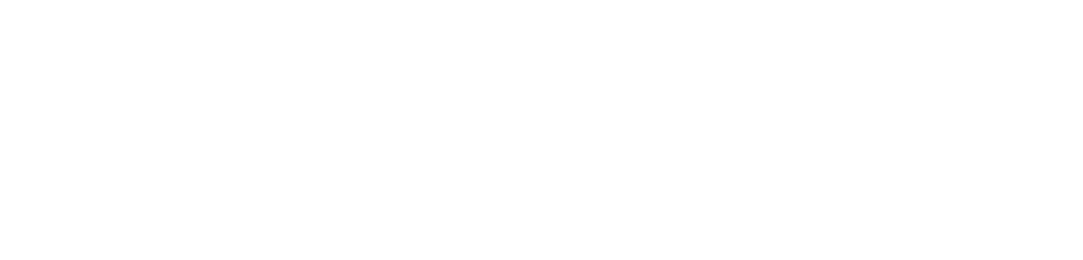 Wickednet Internetagentur Logo weiss